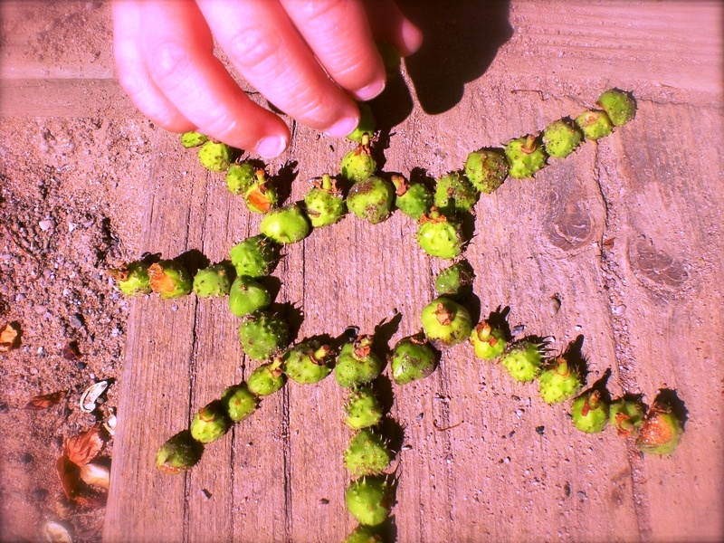 How to Practice Land Art With Children