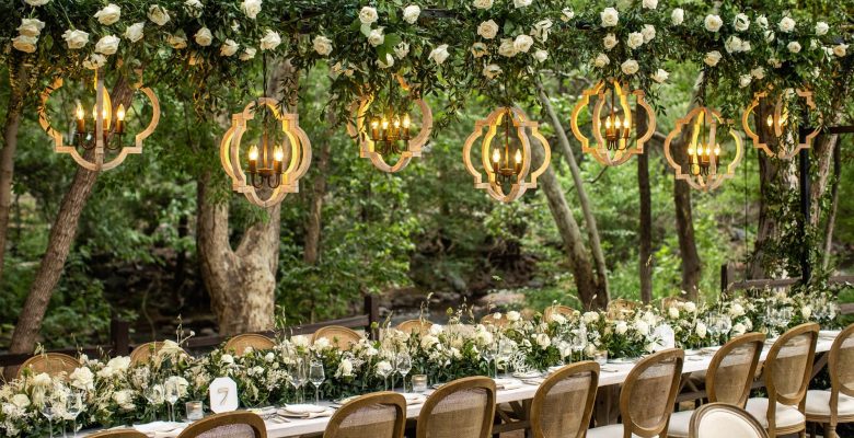 How to Plan a Forest-Themed Party?